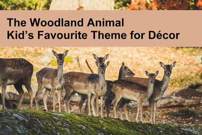 The Woodland Animals, Kid’s Favourite Theme for Décor