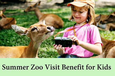 Summer Zoo Visit Benefit for Kids